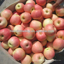 china fruit fuji apple